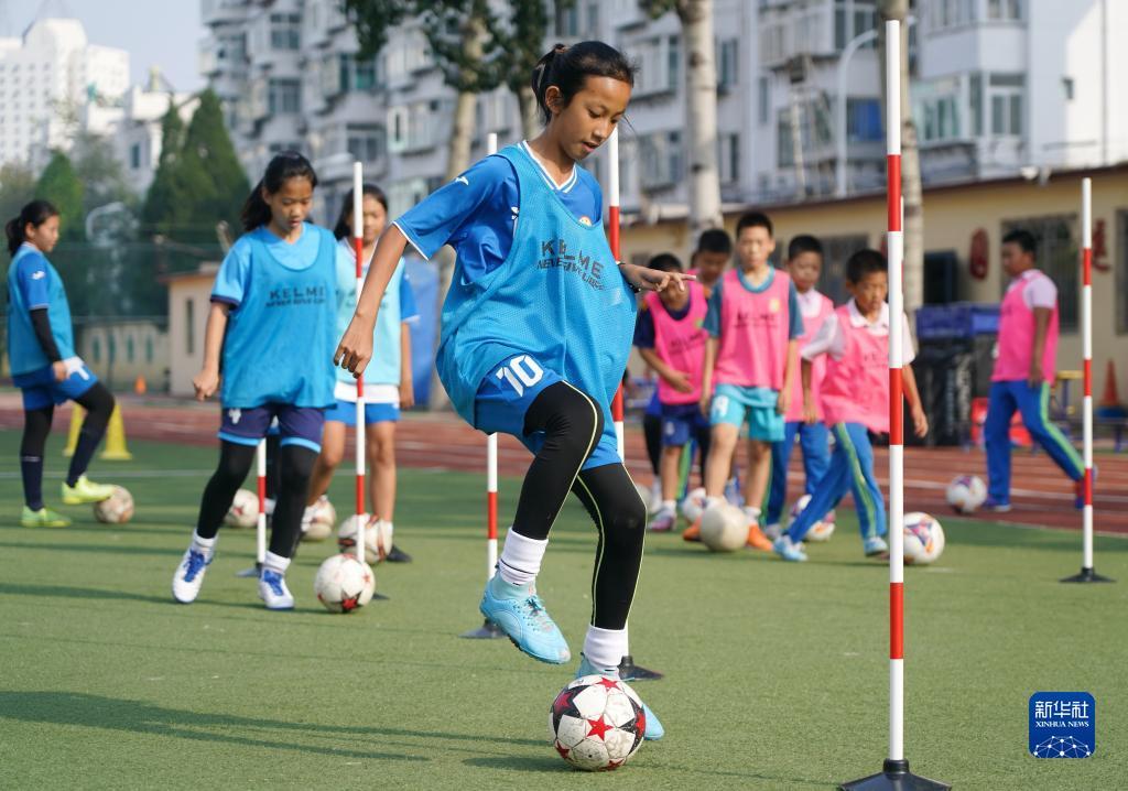 推饼子游戏下载